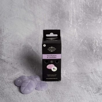 Scentchips σε κουτί Eucalyptus &amp; lavender 10 τεμάχια display/6