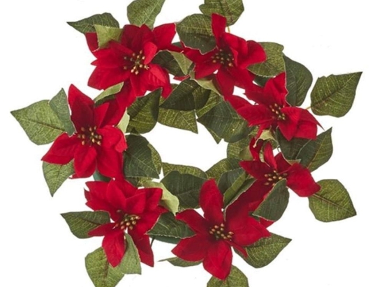 Στεφάνι Με Αλεξανδρινούς 02.1047819 40cm Green-Red