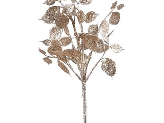 Κλαδί Lunaria 013.793770 40cm Champagne