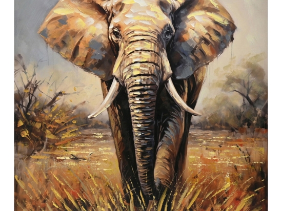 ΠΙΝΑΚΑΣ ΣΕ ΚΑΜΒΑ ELEPHO INART 100X3X100ΕΚ