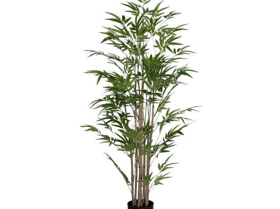 ΔΙΑΚΟΣΜΗΤΙΚΟ ΦΥΤΟ BAMBOO I ΣΕ ΓΛΑΣΤΡΑ INART ΠΡΑΣΙΝΟ PP Υ150ΕΚ