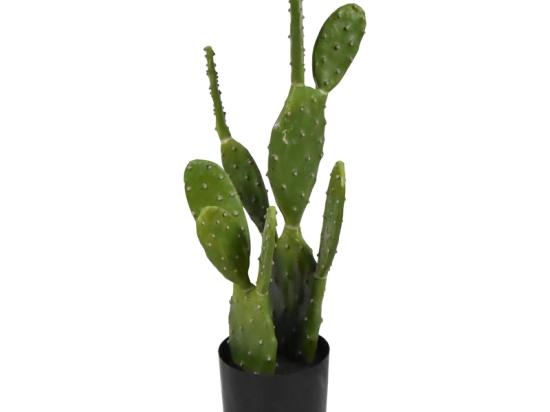 ΔΙΑΚΟΣΜΗΤΙΚΟ ΦΥΤΟ CACTUS ΣΕ ΓΛΑΣΤΡΑ INART ΠΡΑΣΙΝΟ PP Υ64ΕΚ