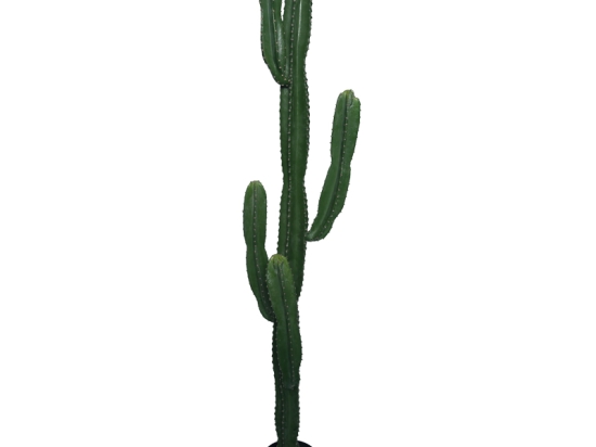 ΔΙΑΚΟΣΜΗΤΙΚΟ ΦΥΤΟ CACTUS I ΣΕ ΓΛΑΣΤΡΑ INART ΠΡΑΣΙΝΟ PP Υ155ΕΚ