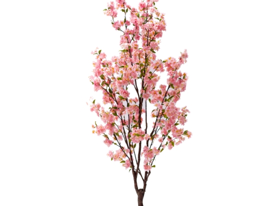 ΔΙΑΚΟΣΜΗΤΙΚΟ ΦΥΤΟ PEACH FLOWER I ΣΕ ΓΛΑΣΤΡΑ INART ΡΟΖ PP Υ170ΕΚ