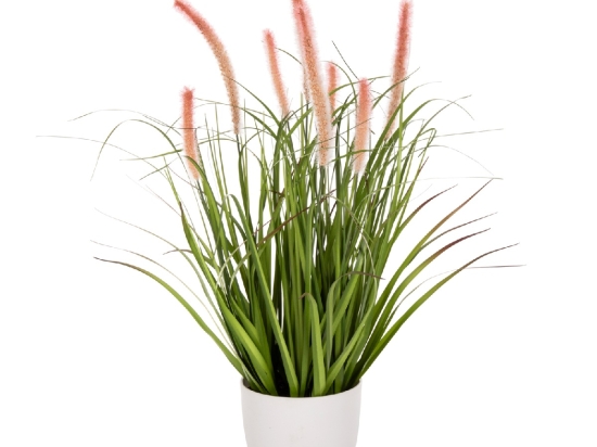 ΔΙΑΚΟΣΜΗΤΙΚΟ ΣΥΝΘΕΤΙΚΟ ΦΥΤΟ HM4029 BRISTLEGRASS ΣΕ ΓΛΑΣΤΡΑ Φ14,5x13-62Yεκ.