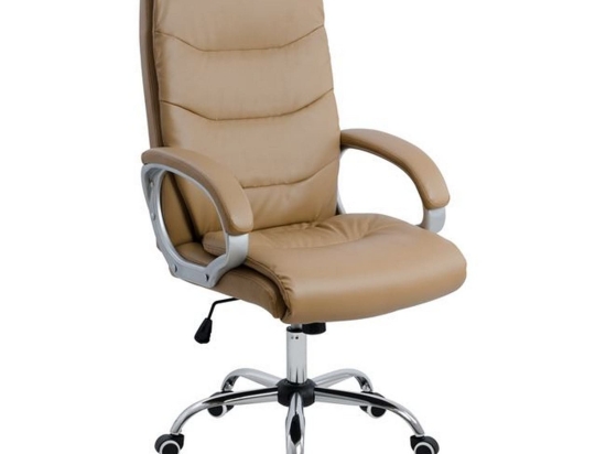 Καρέκλα Γραφείου Διευθυντική Camel HM1087.09