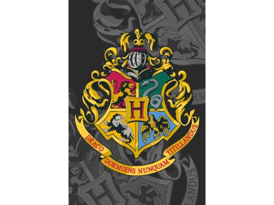Borea Πετσέτα Θαλάσσης Βαμβακερή Βελούδινη Harry Potter 320gsm 70 x 140 cm Γκρι
