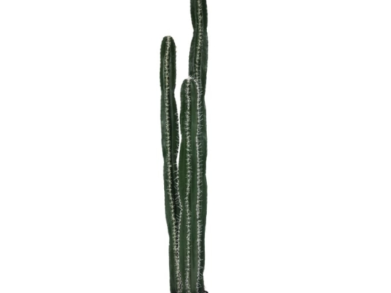 Διακοσμητικό φυτό Cactus II σε γλάστρα Inart πράσινο pp Υ155εκ