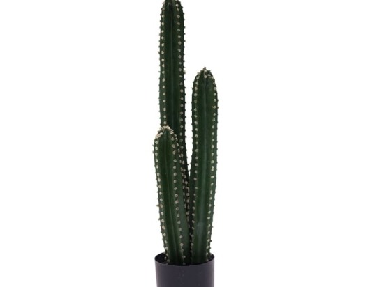 Διακοσμητικό φυτό Cactus III σε γλάστρα Inart πράσινο pp Υ85εκ