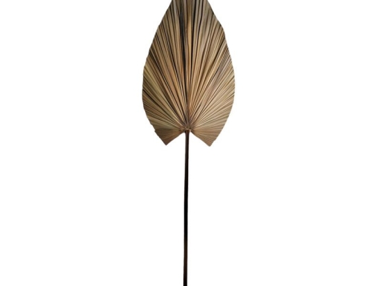 Διακοσμητικό φύλλο Leafen pakoworld φυσικό palm leaf 150 εκ