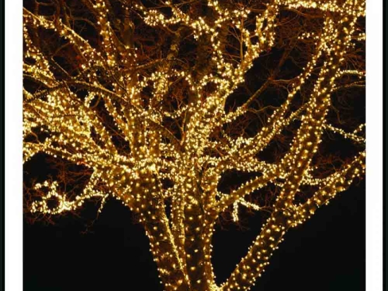 500 PRO Led λαμπάκια IP44 με επεκτεινόμενο πράσινο καλώδιο και θερμό φως 50μ