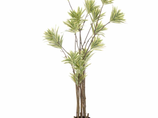 Διακοσμητική γλάστρα με Lily Bamboo με φύλλα σε πράσινη απόχρωση 160 εκ