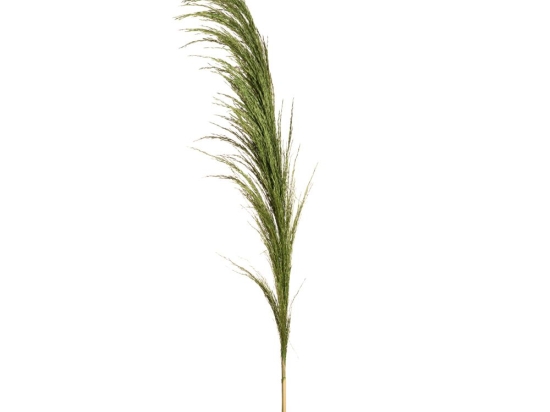 Διακοσμητικό τεχνητό κλαδί pampas σε πράσινη απόχρωση 150 εκ