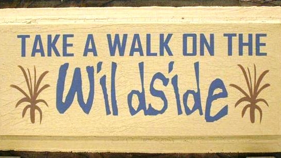 Ρετρό ξύλινος πίνακας χειροποίητος take a walk on the wild side 26x13 εκ