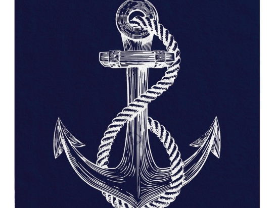 Makis Tselios Home Πετσέτα Θαλάσσης Anchor 90x160