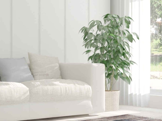 Χαλί Vintage 8400 Cream-Blue Arte Espina 200X290cm