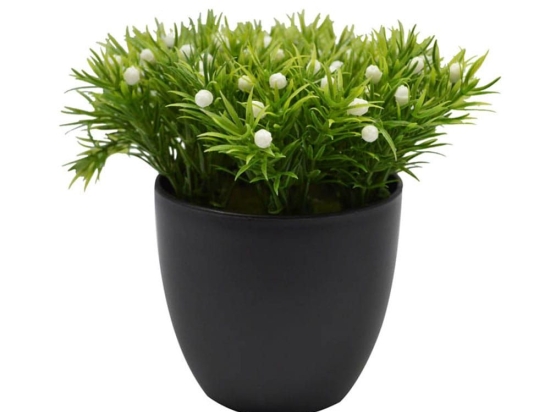 Γλαστράκι Με Φυτό 15cm 797486 Black-White Ankor Πλαστικό