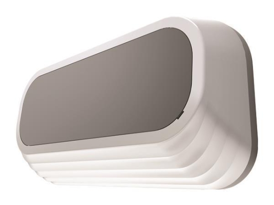 ΑΠΛΙΚΑ ΤΟΙΧΟΥ ΟΒΑΛ LED 12W 240x120x45 3000K IP54 ΓΚΡΙ EUROLAMP 145-20209