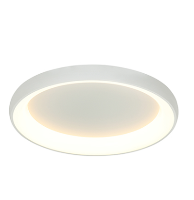 ΦΩΤΙΣΤΙΚΟ ΟΡΟΦΗΣ ΠΛΑΦΟΝΙΕΡΑ Ø60 50W ΛΕΥΚΟ 2049 | ZAMBELIS LIGHTS
