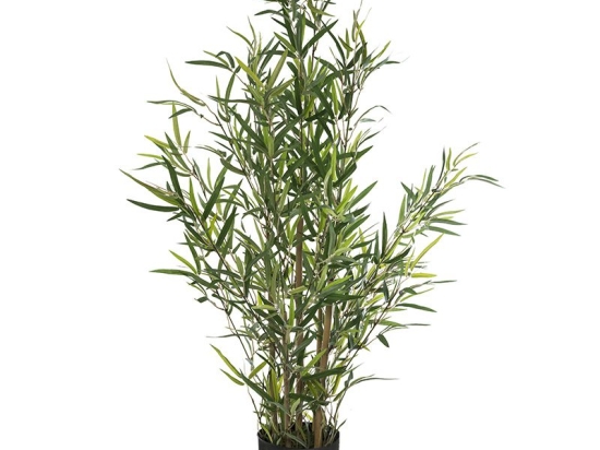 Φυτό σε γλάστρα Green10 pakoworld 63x55x90εκ