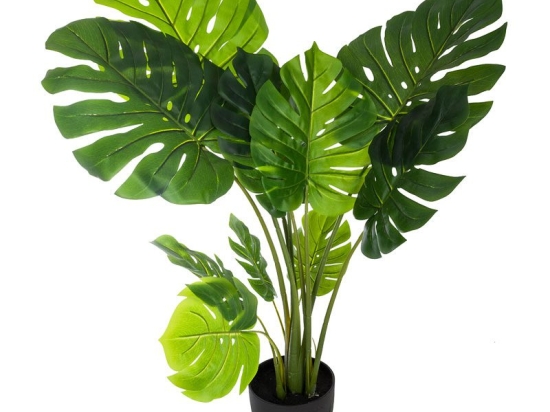 Φυτό σε γλάστρα Green 14 pakoworld 84x79x110εκ