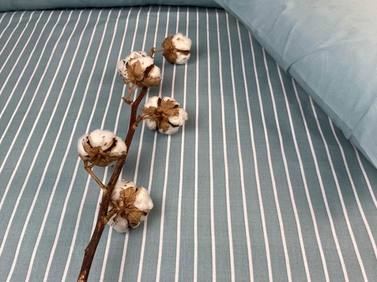 Σεντόνι Stripe 8431 (Σετ 2τμχ) Petrol Astron Μονό 175x260cm 100% Βαμβάκι