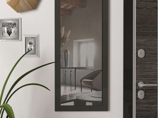 Καθρέπτης Τοίχου Gabriel 881-121-040 45x5x105cm Anthracite Μελαμίνη