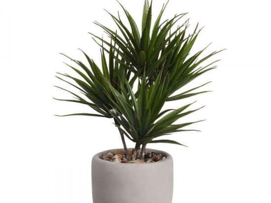 Φυτό Σε Γλαστράκι Palm 66225444 24,5x17,5x28cm Green Asa Συνθετικό Υλικό