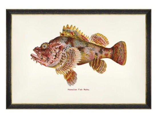 Κάδρο Fishes Of Hawaii - Nohu Fish FA13210 60X40 MindTheGap Οριζόντιοι Ξύλο