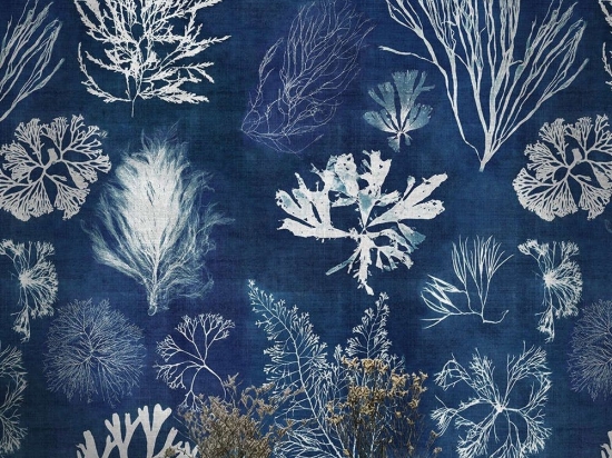 Ταπετσαρία Algae Navy Blue WP20297 Blue-White MindTheGap 52x300cm