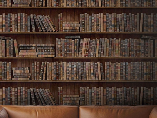 Ταπετσαρία Book Shelves WP20112 Blue-Brown-Green-Red MindTheGap 52x300cm