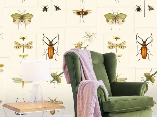 Ταπετσαρία Entomology WP20233 Brown-Taupe MindTheGap 52x300cm
