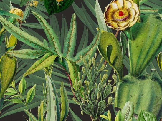 Ταπετσαρία Luscious Flora WP20518 Green-Yellow-Black MindTheGap 52x300cm