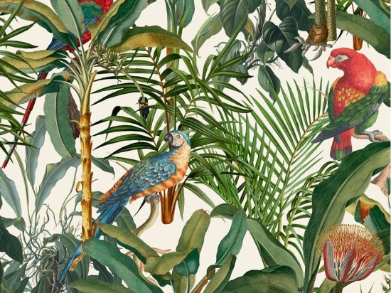 Ταπετσαρία Parrots Of Brasil WP20521 Green-Taupe-Red MindTheGap 52x300cm