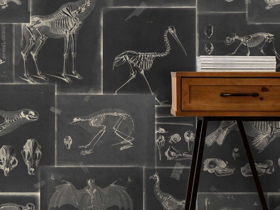 Ταπετσαρία Zooarchaeology Anthracite WP20237 Grey-Anthracite MindTheGap 52x300cm