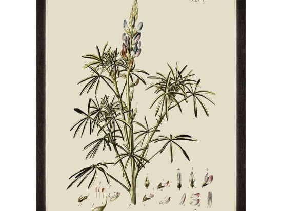 Κάδρο Botanical VI FA13229 60x80cm Green MindTheGap Κάθετοι Ξύλο