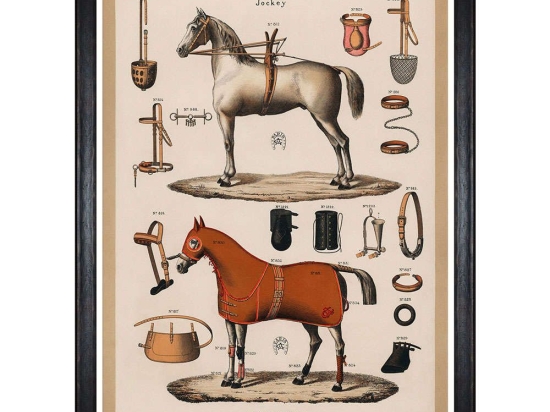 Κάδρο The Riding Equipment I FA13265 60x80cm Multi MindTheGap Κάθετοι Ξύλο