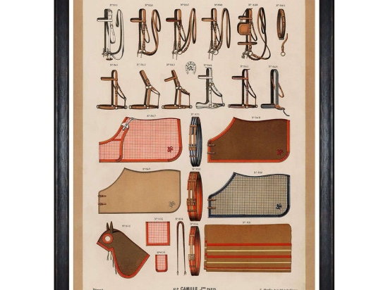Κάδρο The Riding Equipment II FA13266 60x80cm Multi MindTheGap Κάθετοι Ξύλο