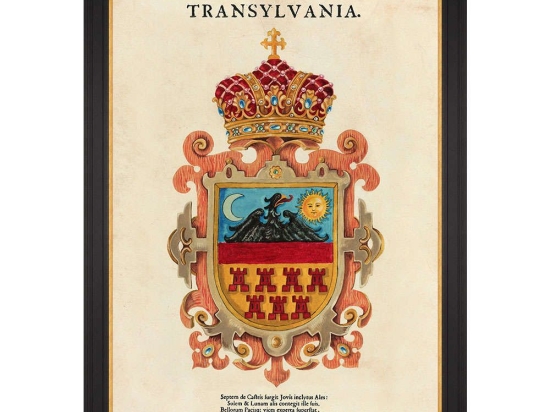 Κάδρο Transylvania Saxon Crest FA13268 70x100cm Multi MindTheGap Κάθετοι Ξύλο
