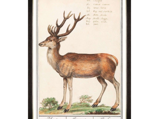 Κάδρο Cervus FA13239 60x90cm Brown-Green MindTheGap Κάθετοι Ξύλο