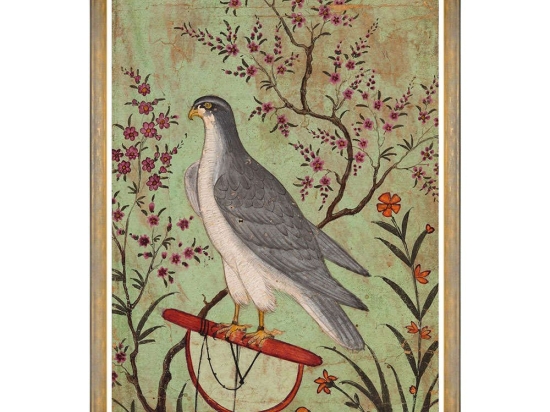 Κάδρο Falcon On A Perch FA13241 70x100cm Grey-Multi MindTheGap Κάθετοι Ξύλο