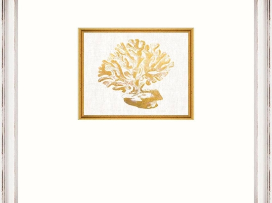Κάδρο Coral Fa13362 35X45Cm White-Gold Mindthegap Κάθετοι Ξύλο