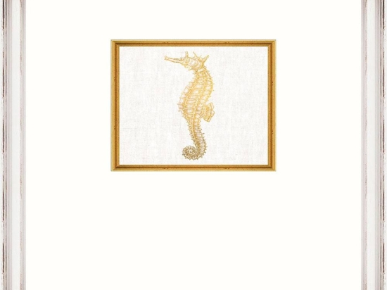 Κάδρο Seahorse Fa13366 35X45Cm White-Gold Mindthegap Κάθετοι Ξύλο