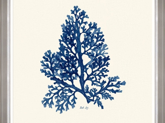 Κάδρο Seaweed  Ii Fa13393 70X70Cm White-Blue Mindthegap Τετράγωνοι Ξύλο