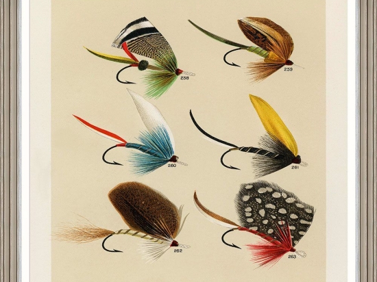 Κάδρο Fishing Flies Iv By Mary Orvis Marbury Fa13408 60X80Cm Multi Mindthegap Κάθετοι Ξύλο