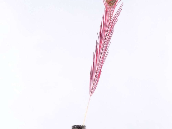 Τεχνητό Φτερό Παγώνι 2990-7 102cm Red-Multi Supergreens Πολυαιθυλένιο