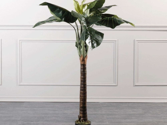 Τεχνητό Δέντρο Αλοκάσια 4760-6 60x60x150cm Green Supergreens Πολυαιθυλένιο