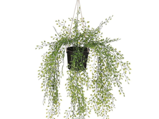 Τεχνητό Κρεμαστό Φυτό Sedum 6151-7 9x9x46cm Green Supergreens Πολυαιθυλένιο