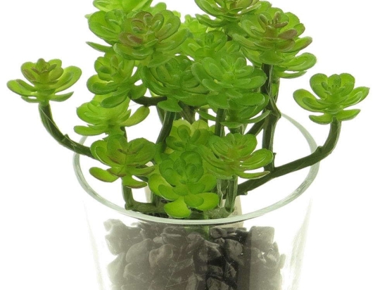 Τεχνητό Φυτό Παχύφυτο 8x16cm Green Supergreens Polyester
