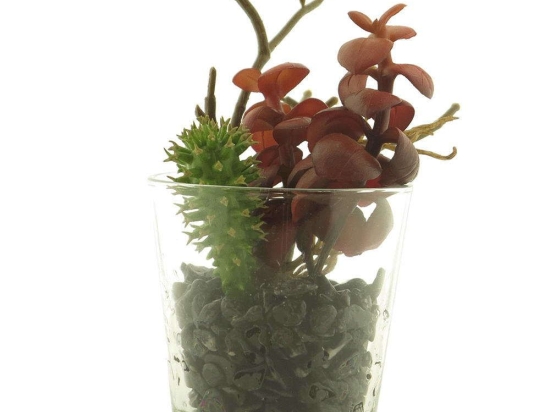 Τεχνητό Φυτό Παχύφυτο 9470-6 6x13cm Red Supergreens Πολυέστερ